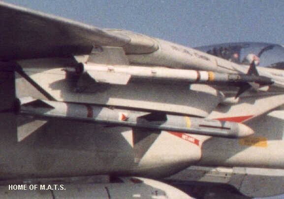 AIM-9L%20and%20AIM-7F%20on%20F-14A_zpsaizvsyfr.jpg