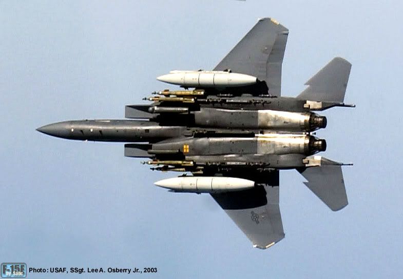 F-15EOIFwithnestables.jpg