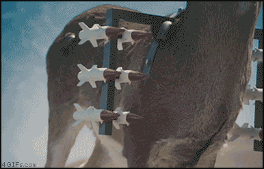 vtoldeer.gif