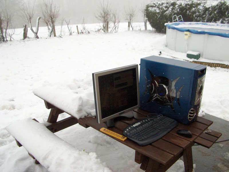 firkyocinginthesnow.jpg