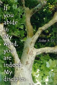 John 8 31