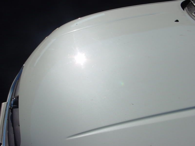 DSC00156.jpg