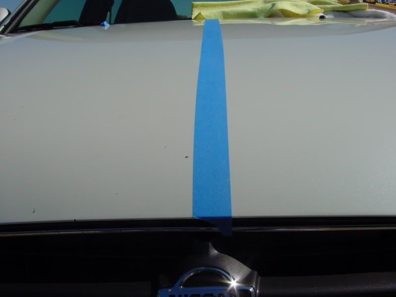 DSC00178.jpg