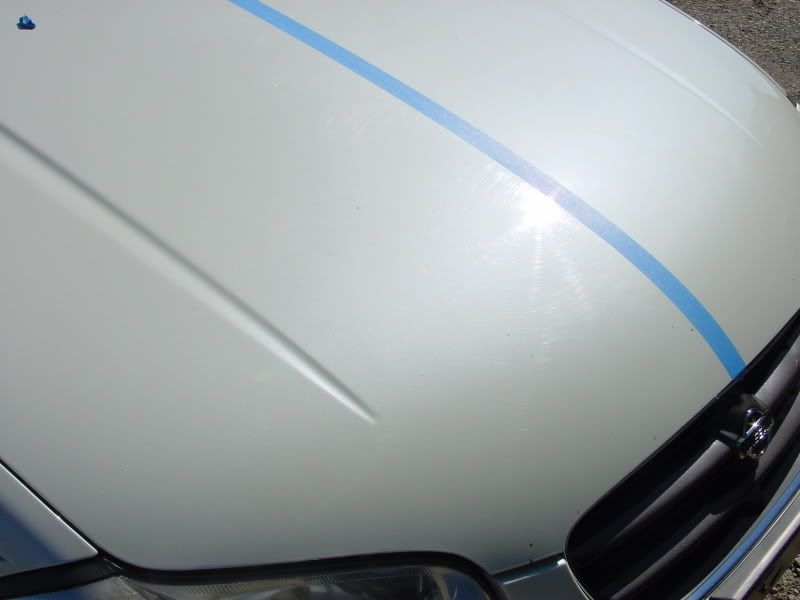 DSC00180.jpg