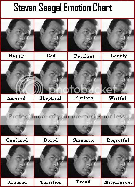 https://i53.photobucket.com/albums/g50/pj4ever10/Steven_Seagal_Emotion_Chart.jpg