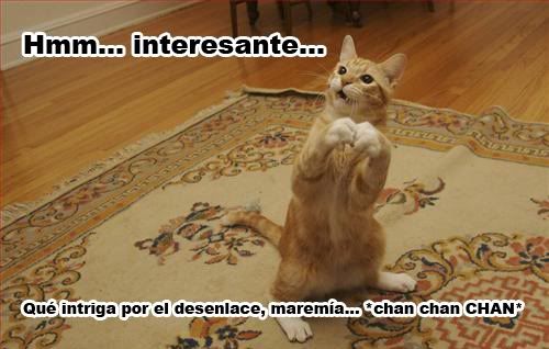 47fa3b88-4e1a-4cab-bd15-c581b1e2fdffcopia.jpg
