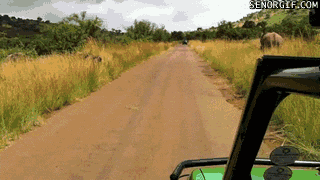 image001.gif