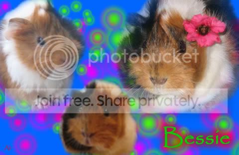 Bessie.jpg