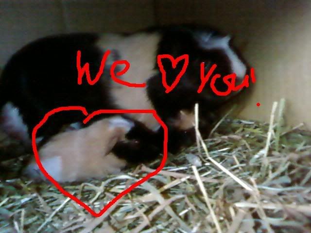 weloveyou.jpg