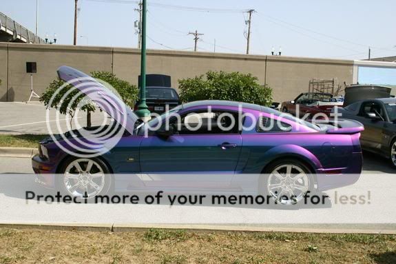 2006 Saleen Mustang - 2006 Saleen S281 with extreme rainbow paint ...