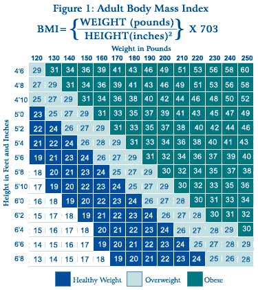 65 фунтов в кг. 140 Фунтов в кг. Шкала obese. 120 Фунтов. 120 Фунтов в кг.